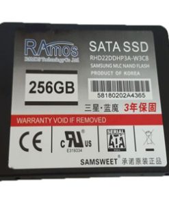 حافظه اس اس دی راموس با ظرفیت 500 گیگابایت | SSD RAmos 500GB